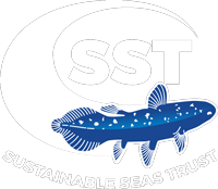 SST